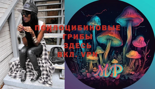 а пвп мука Алзамай