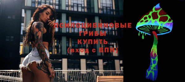 ГАЛЛЮЦИНОГЕННЫЕ ГРИБЫ Михайловск