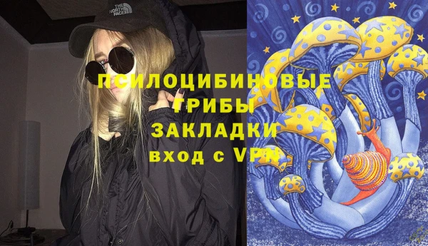 а пвп мука Алзамай